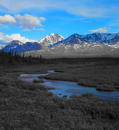 winding creek flowing in green grass meadow toward snow capped mountains in Alaska.