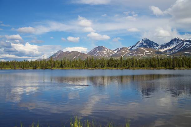 istock View of snow capped mountain during summer, with reflection in river. 1156595504