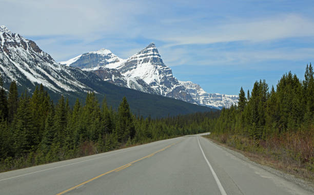 istock Icefield parkway and mount Chephren 1156596460