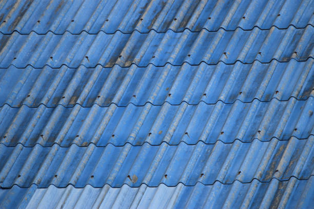 The old blue roof is the background.