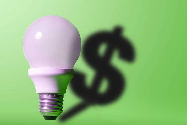 istock Good idea it's money. Light bulb on bright green background with a dollar sign shadow. 1156607057