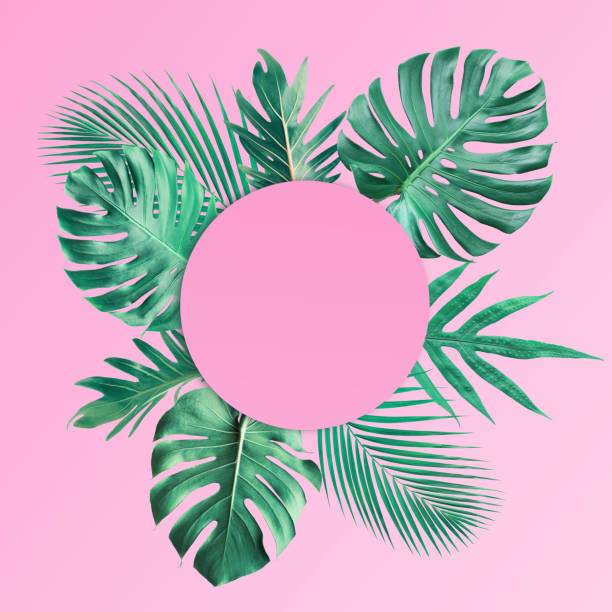 istock Tropical leaves with copy space background.Nature and summer concepts 1156607973