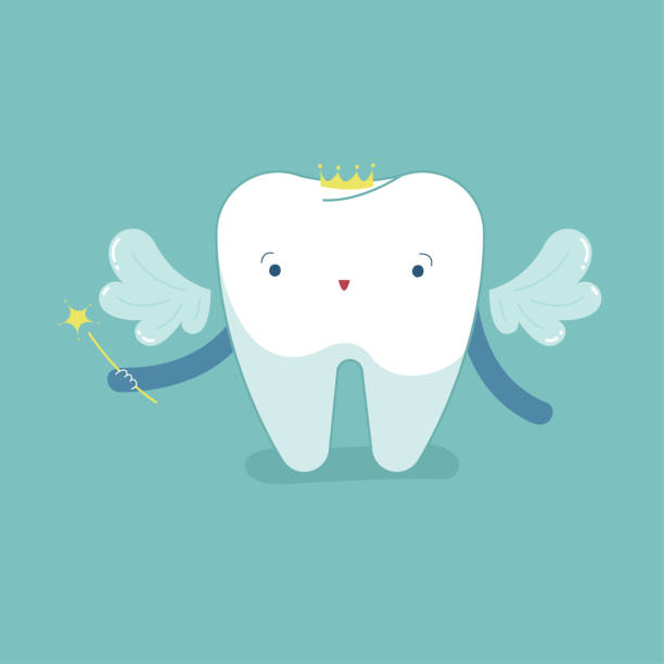 Fairy tooth, dental cartoon concept. Fairy tooth, dental cartoon concept. dental gold crown stock illustrations