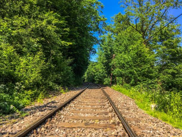 istock railway tracks in the forest. 1156615235