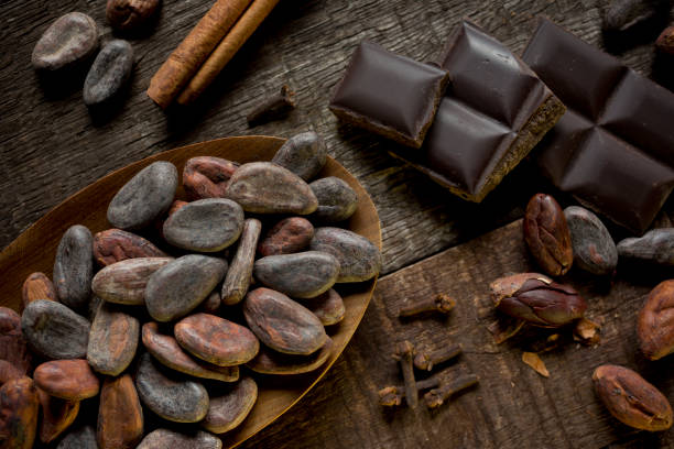 istock Dark chocolate, cacao nibs, cloves and cinnamon stick 1156617189