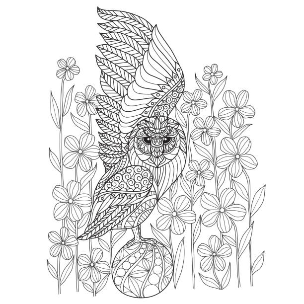 Hand drawn illustration of owl and flower in tangle style Hand drawn sketch illustration for adult coloring book vector was made in eps 10. background of a owl black and white stock illustrations