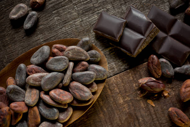 istock Dark chocolate and cacao nibs 1156618977