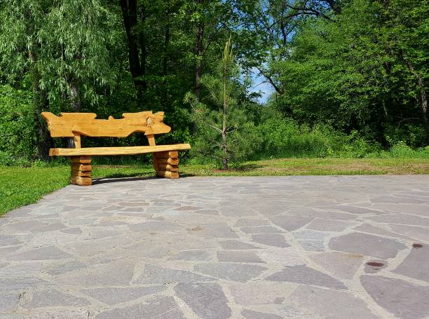 istock lonely bench in the park, summer, background 1156619839
