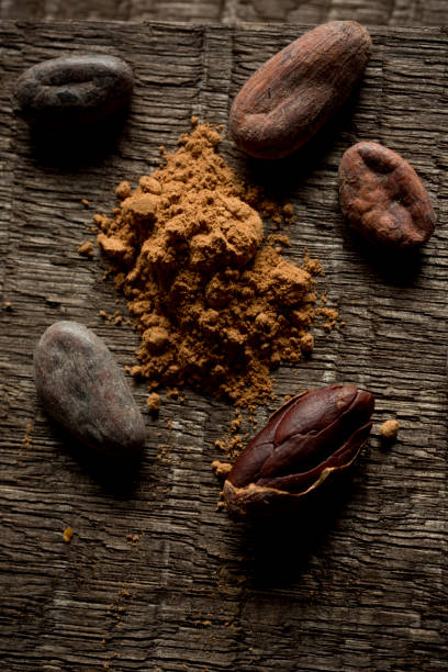istock Cacao nibs and cocoa powder 1156619935