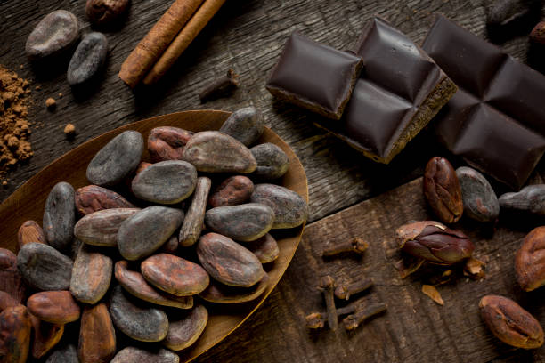 istock Dark chocolate, cacao nibs, cloves and cinnamon stick 1156621223