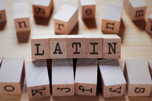 istock Latin Word In Wooden Stamp Cube 1156623443