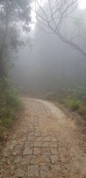 istock Heavy fog walking track 1156624154