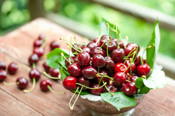 istock Fresh sweet cherries in plate 1156627772