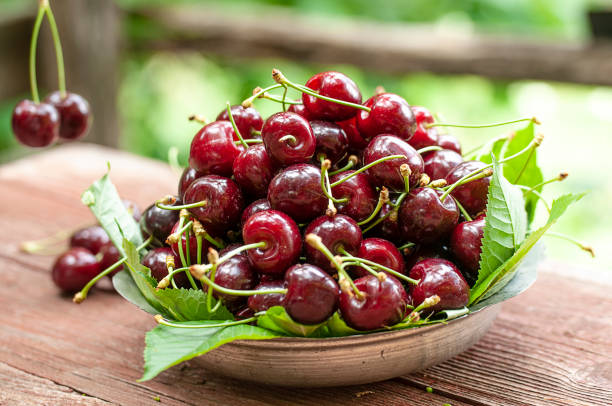 świeże czereśnie w talerzu - sour cherry zdjęcia i obrazy z banku zdjęć