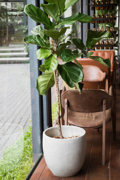 istock Modern coffee shop seat interior 1156633369