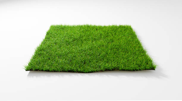 istock 3D rendering illustration top view square green grass field isolated background 1156636042