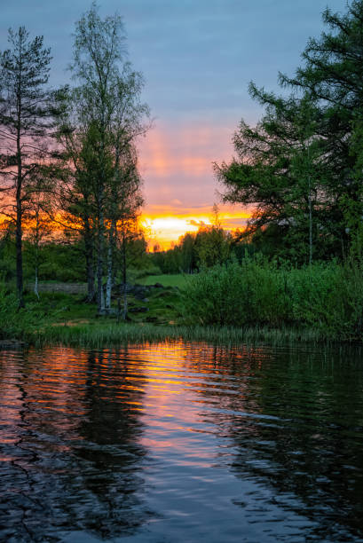 istock Summer landscape - evening on the lake in the forest 1156642163