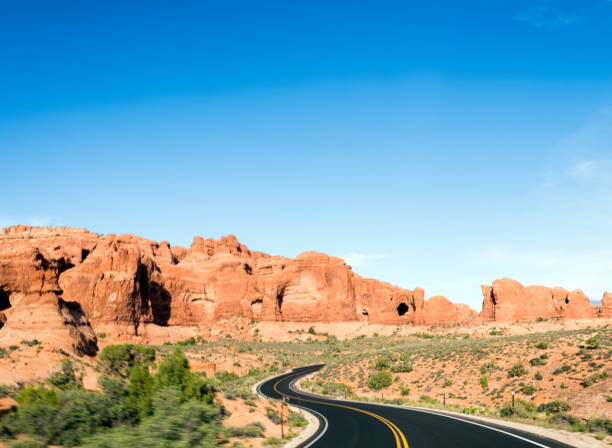 istock Winding road to petrified desert sand dunes 1156647924