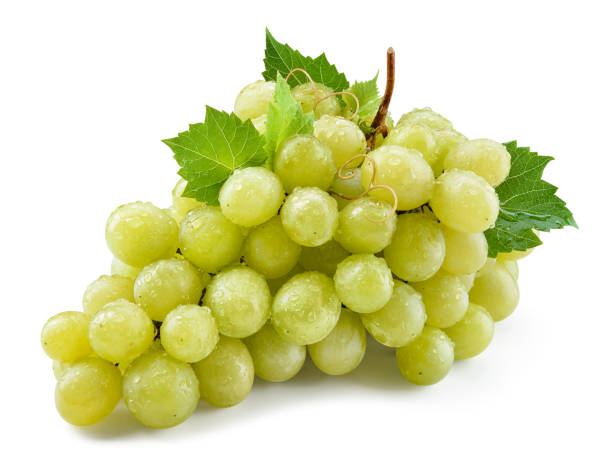 istock Grape isolated. Grapes on white. With clipping path. Full depth of field. 1156655699