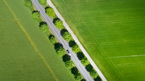 Aerial view of an alley road through agricultural fields