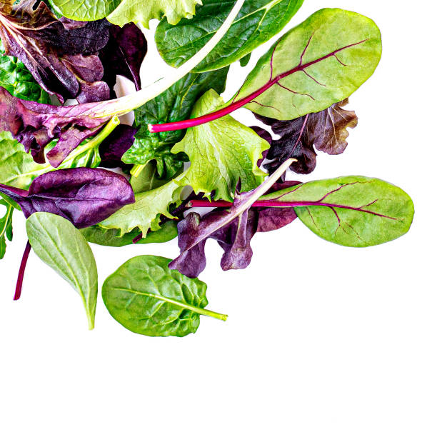 feuilles volantes de salade d'isolement sur le fond blanc. salade fraîche mélangée à la roquette, laitue, épinards - arugula salad herb organic photos et images de collection