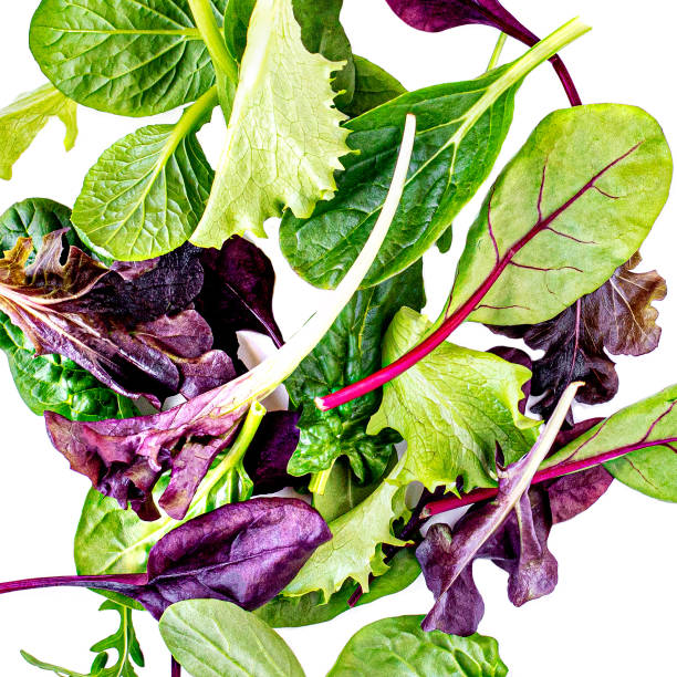 istock Flying Salad Leaves isolated on white background. Fresh mixed salad with arugula, lettuce, spinach 1156657167