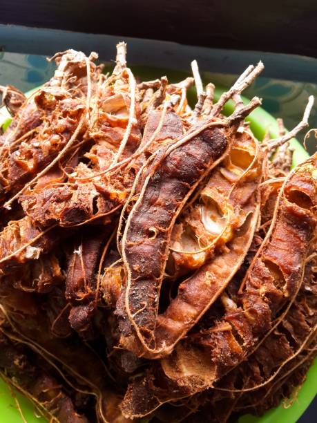 dry tamarind for cooking