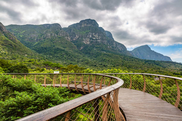 istock Kirstenbosch botanical gardens 1156658845