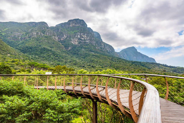 istock Kirstenbosch botanical gardens 1156658864