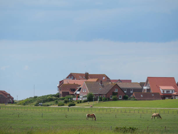 istock Baltrum island in Germany 1156658898