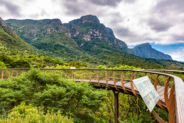 istock Kirstenbosch botanical gardens 1156658940