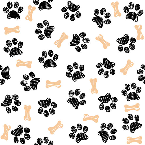 ilustraciones, imágenes clip art, dibujos animados e iconos de stock de fondo con huella de pata de perro y hueso - puppy