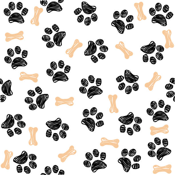 ilustrações de stock, clip art, desenhos animados e ícones de background with dog paw print and bone - animal backgrounds