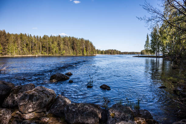 istock Summer landscape - lake on a Sunny summer day 1156661218