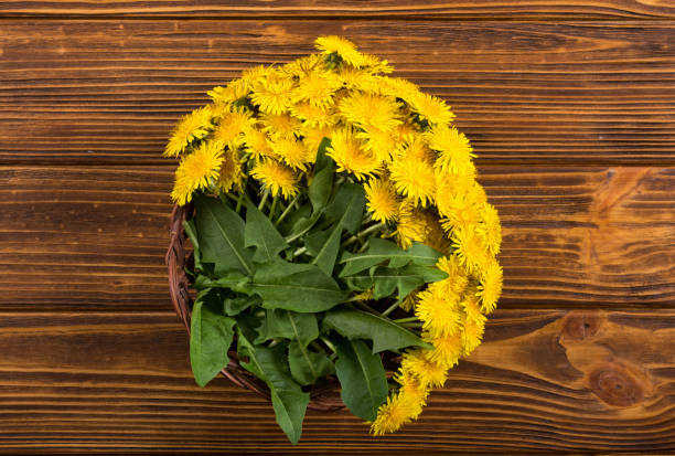 istock Basket with yellow dandelion flower 1156662231