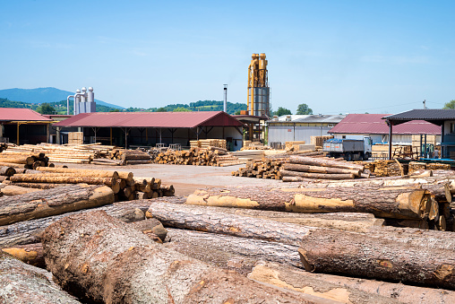 Logging and forestry industry for wood processing.