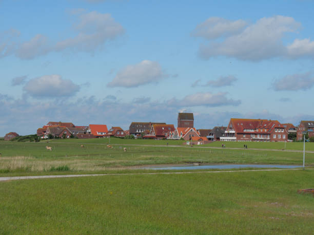istock baltrum island in the north sea 1156666048