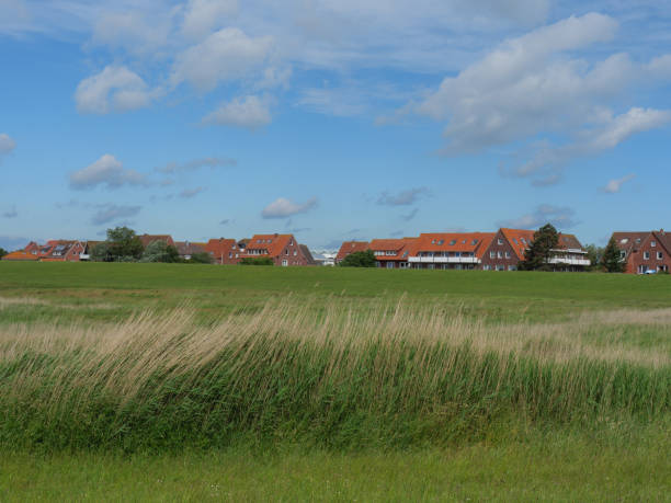 istock baltrum island in the north sea 1156666099