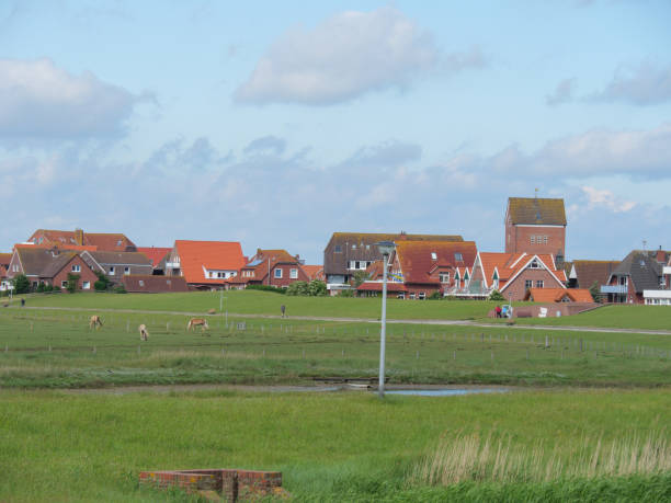 istock baltrum island in the north sea 1156666113