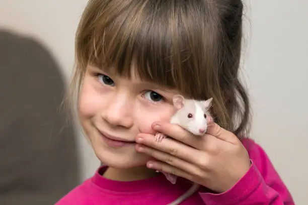 Photo of Portrait of happy smiling cute child girl with white pet mouse hamster on light copy space background. Keeping pets at home, care and love to animals concept.