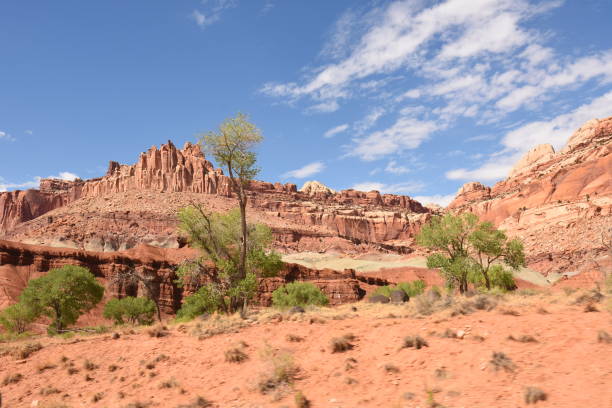 istock landscape on the Goblin state park 1156667185
