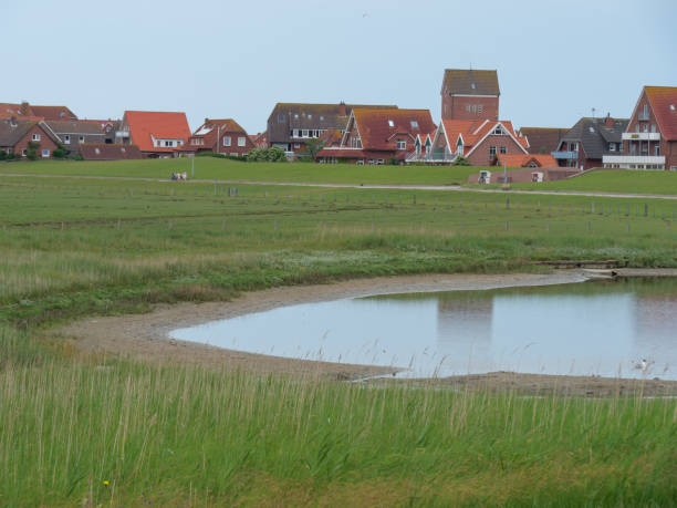 istock the small island of baltrum 1156668048
