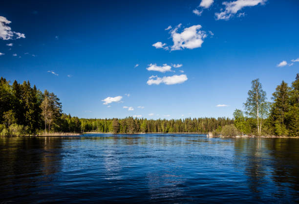 istock Summer landscape - lake on a Sunny summer day 1156668605