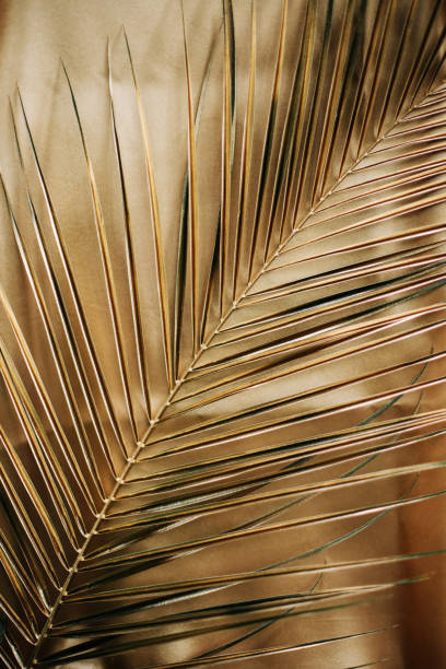 goldene palmblatt-muster. abstrakter hintergrund. - palm leaf branch leaf palm tree stock-fotos und bilder