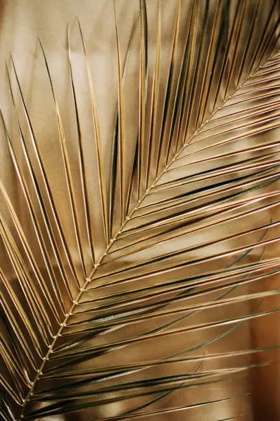 Photo of Golden palm leaf pattern. Abstract background.