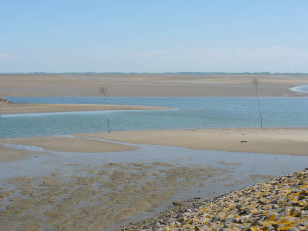 istock at the harbor of baltrum in germany 1156671752