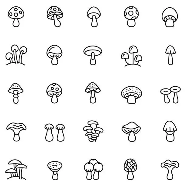 Vector illustration of Mushrooms icon set