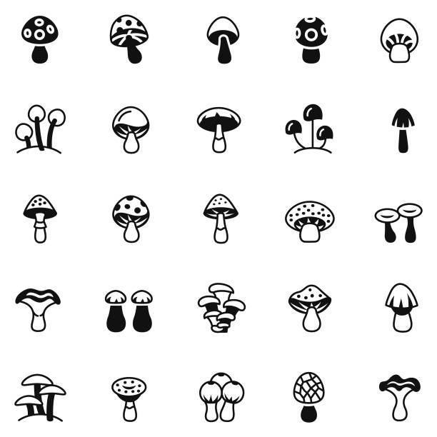 Mushrooms icons Mushrooms icons hedgehog mushroom stock illustrations