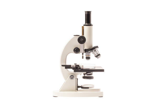 istock Close up shot of microscope. 1156678780