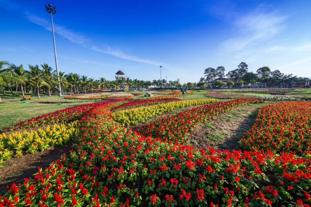 istock Vertical landscaping in the park. 1156682256